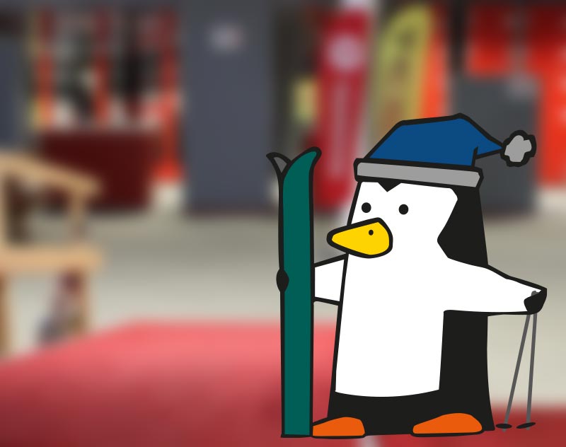 Noleggio sci  Trojer San Candido - Prezzi