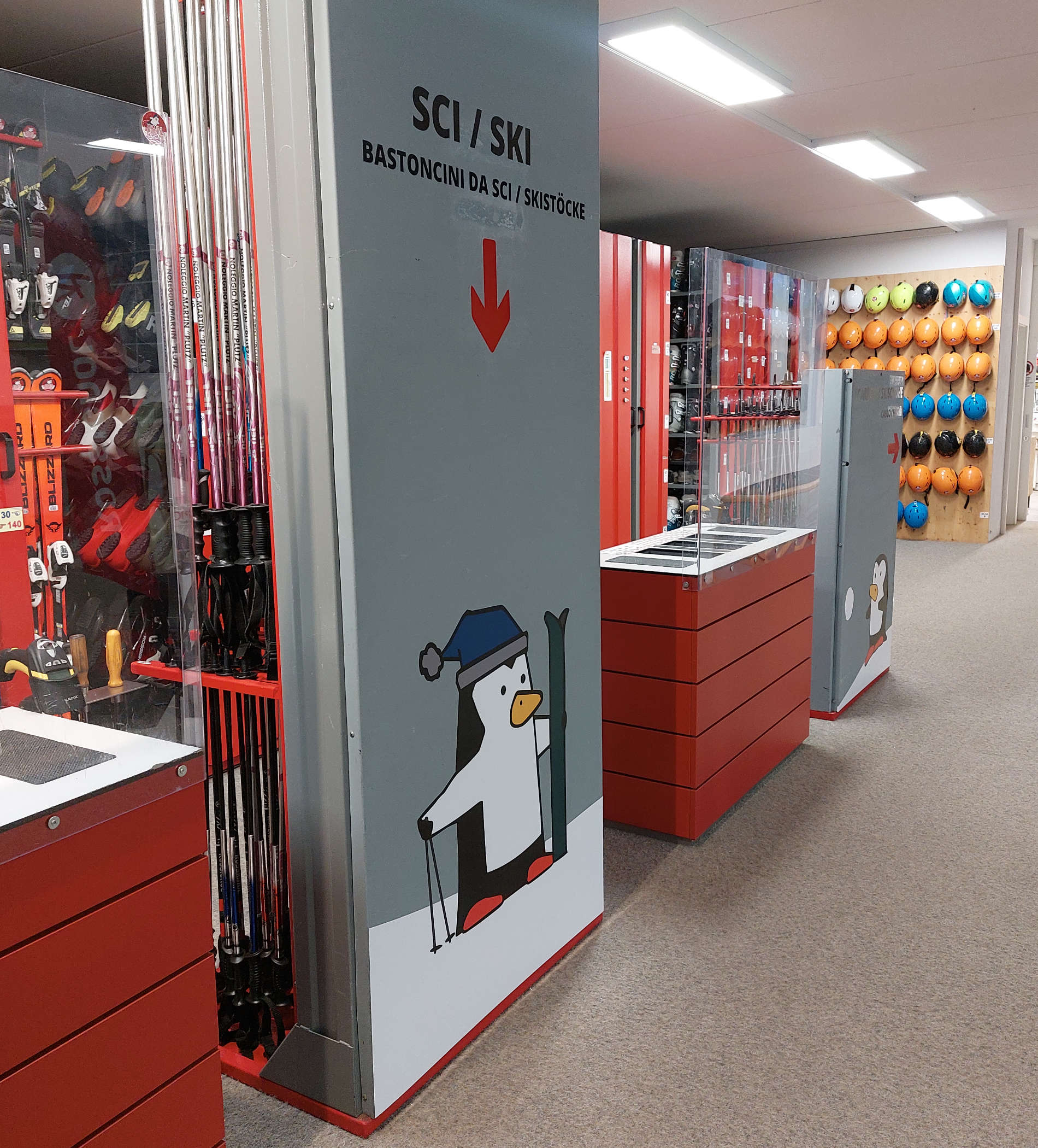 Noleggio sci - Trojer